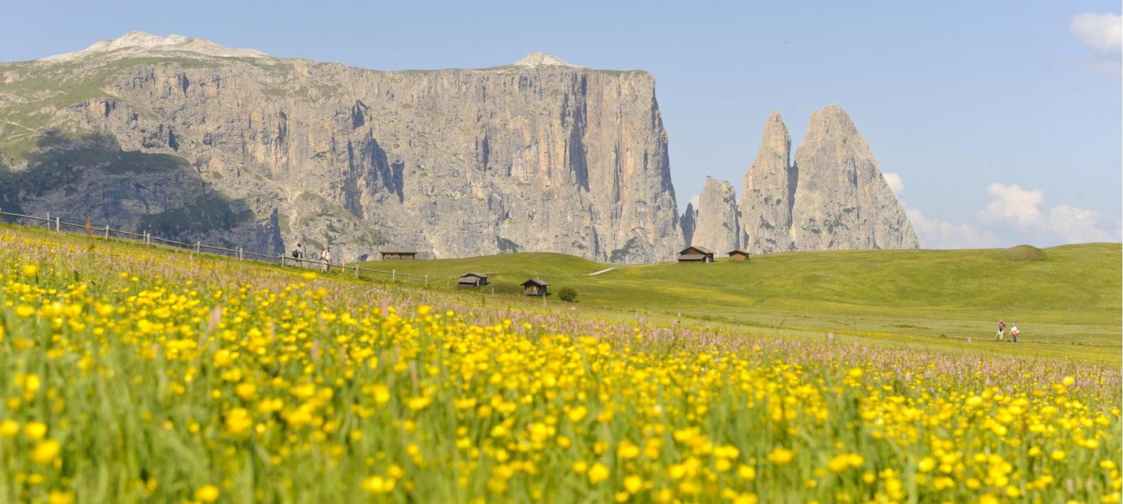 paalhof-schlern-seiser-alm-sommer