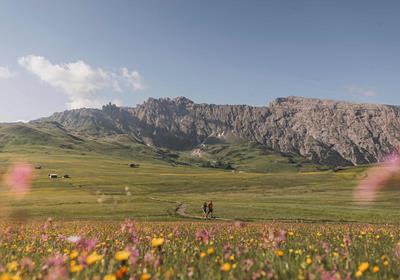 020-sam-hike-kottersteger-250619-kot-6712-1939